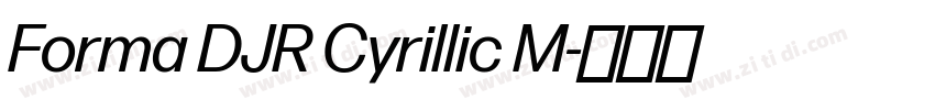 Forma DJR Cyrillic M字体转换